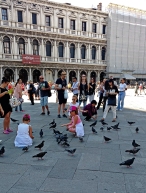 Tourists love pigeons. Amusing.
