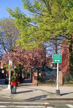 Spring in Brooklyn.